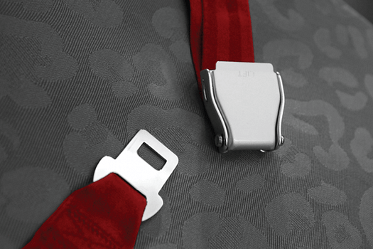 car seat belt